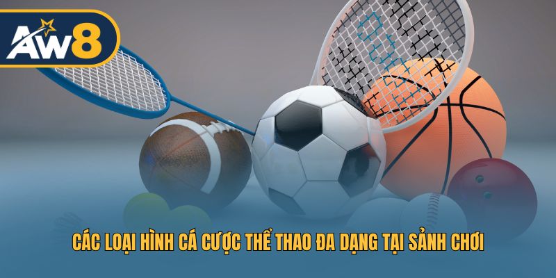 Hệ thống cược thể thao toàn diện cho mọi thành viên