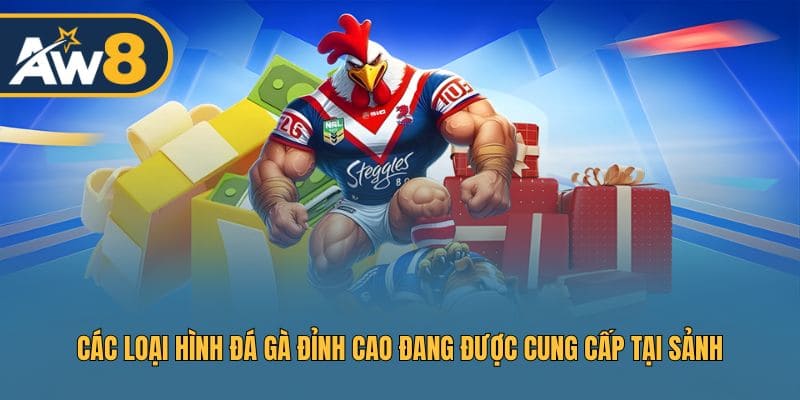 Danh sách loại hình đá gà hấp dẫn tại sảnh SV388