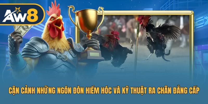 Chiêm ngưỡng kỹ thuật ra đòn chính xác và tốc độ tại IFC