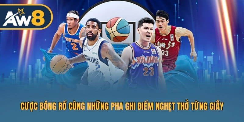 Hòa mình vào nhịp độ trận đấu bóng rổ đỉnh cao