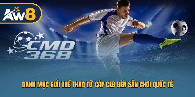 Tổng hợp giải thể thao hấp dẫn từ CLB đến quốc tế