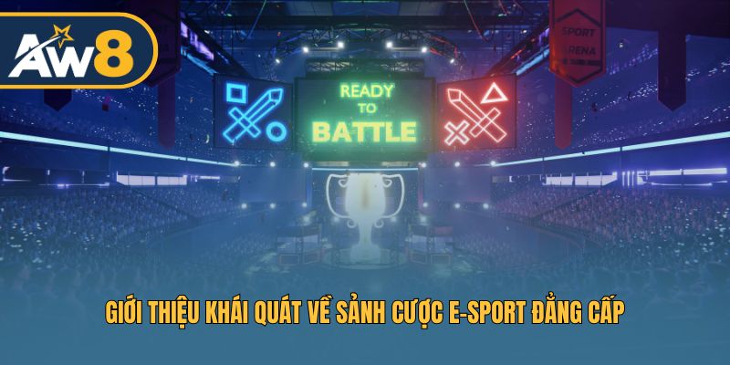 Khám phá sảnh cược thể thao điện tử E-SPORT