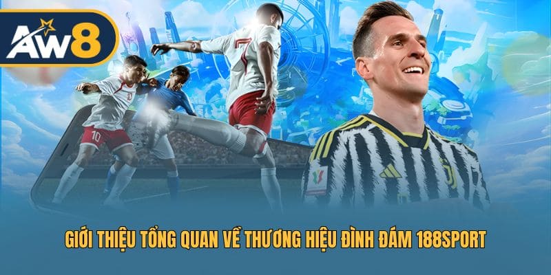 Khám phá thương hiệu thể thao danh tiếng 188SPORT