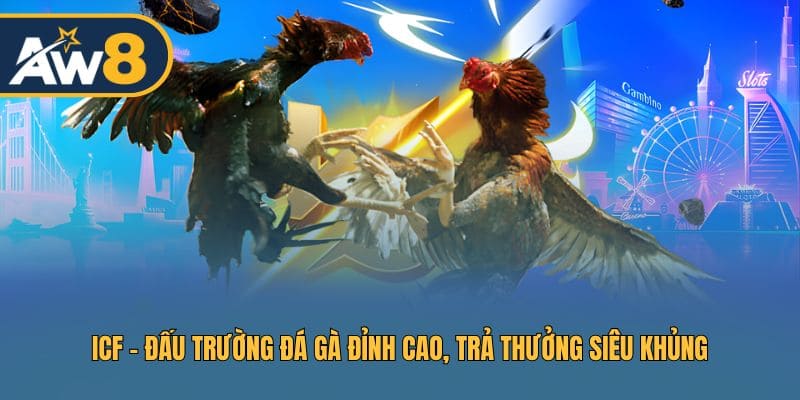 ICF - Trải Nghiệm Đấu Trường Đá Gà Siêu Kịch Tính