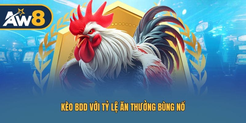 BDD thu hút nhờ mức trả thưởng ấn tượng