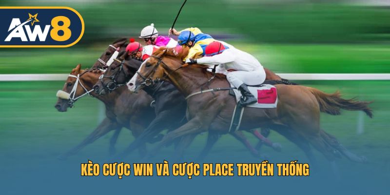 Cược Win và Place phổ biến tại HORSEBOOK