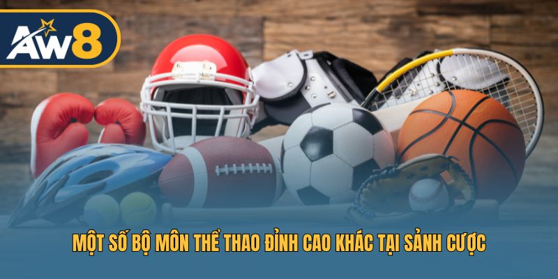 Khám phá thêm các bộ môn thể thao hấp dẫn