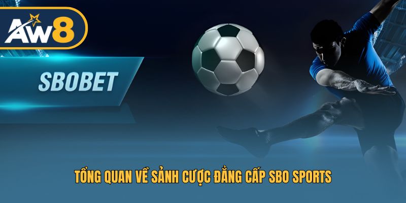 Tìm hiểu về sảnh cược hàng đầu SBO Sports