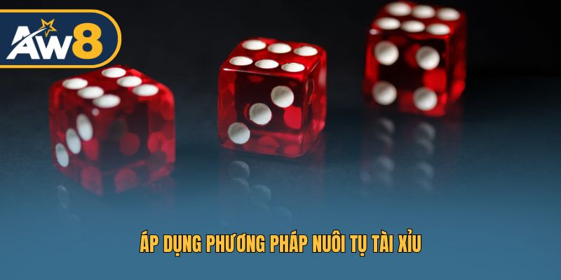 Áp dụng phương pháp nuôi tụ Tài Xỉu