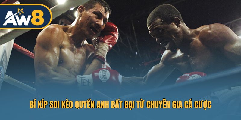 Bí quyết soi kèo quyền anh bất bại được chia sẻ từ các chuyên gia cá cược hàng đầu Bí quyết soi kèo quyền anh bất bại được chia sẻ từ các chuyên gia cá cược hàng đầu