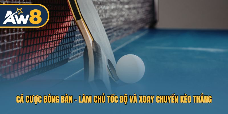 Cá Cược Bóng Bàn - Tốc Độ Cao, Kèo Thơm Thắng Lớn