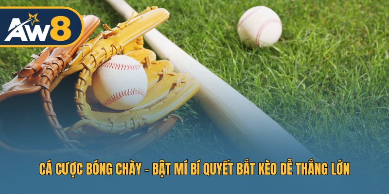Cá Cược Bóng Chày - Bí Quyết Bắt Kèo Dễ Thắng Lớn