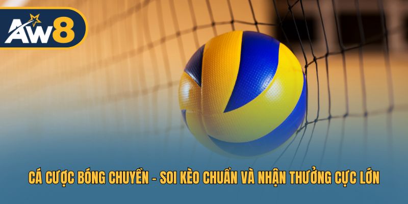 Soi Kèo Bóng Chuyền Chuẩn - Thưởng Cực Đỉnh
