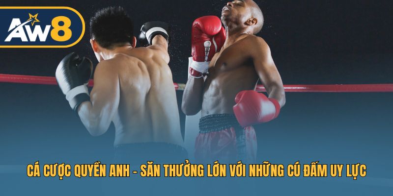 Cá Cược Quyền Anh - Chinh Phục Kèo, Thưởng Đậm