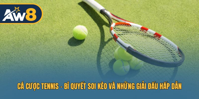 Cá Cược Tennis - Kinh Nghiệm Soi Kèo Từ Cao Thủ