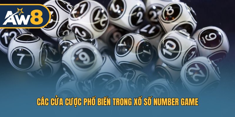 Tổng hợp các cửa cược phổ biến trong Number Game