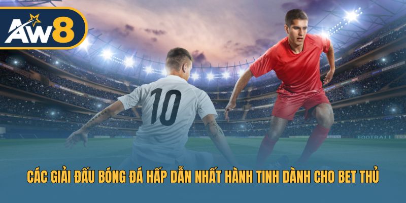 Các sân chơi bóng đá hàng đầu thế giới đáng chú ý