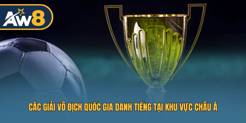 Giải đấu vô địch quốc gia hấp dẫn bậc nhất châu Á