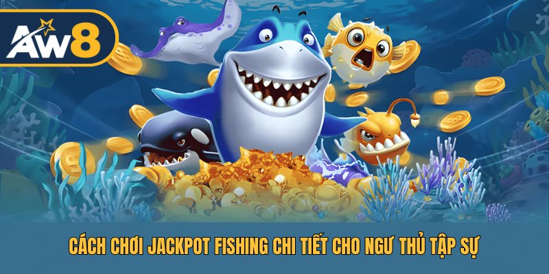 Chiến thuật thông minh dành cho người mới bắt đầu