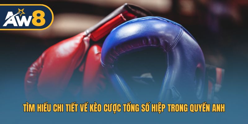 Tìm hiểu chi tiết về kèo cược tổng số hiệp trong quyền anh Tìm hiểu chi tiết về kèo cược tổng số hiệp trong quyền anh