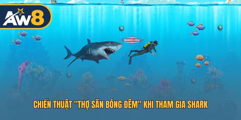 Chiến thuật "Thợ săn bóng đêm" khi tham gia Shark