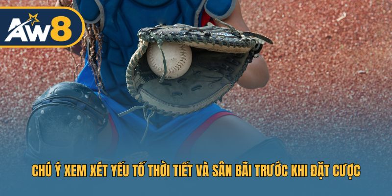 Chú ý xem xét yếu tố thời tiết và sân bãi trước khi đặt cược