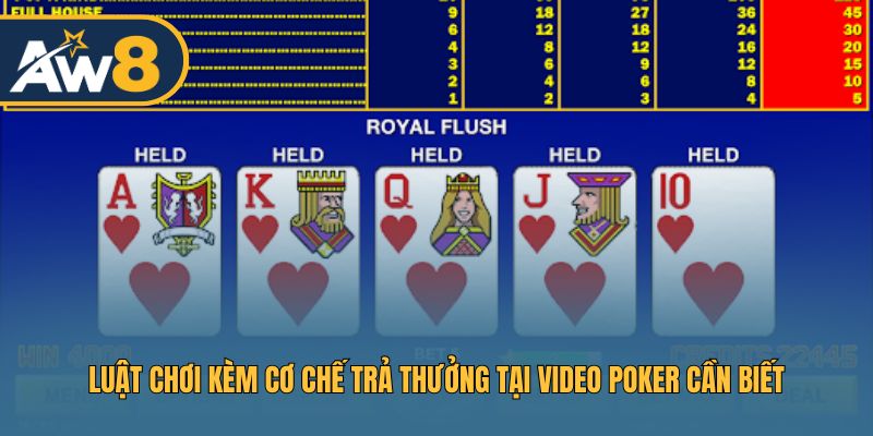 Hướng dẫn chi tiết cách chơi Video Poker