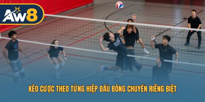Kèo chơi theo set riêng lẻ trong trận bóng chuyền Kèo chơi theo set riêng lẻ trong trận bóng chuyền