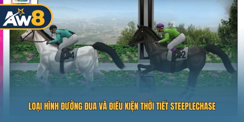 Loại hình đường đua và điều kiện thời tiết Steeplechase