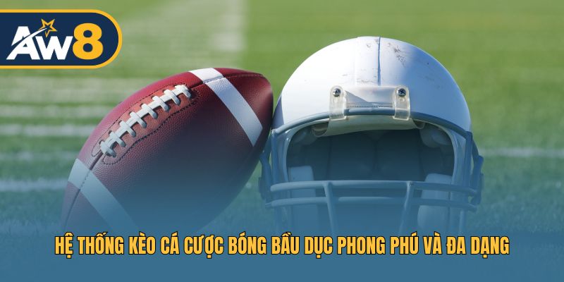 Tổng hợp hệ thống kèo đa dạng, hấp dẫn dành riêng cho môn bóng bầu dục Tổng hợp hệ thống kèo đa dạng, hấp dẫn dành riêng cho môn bóng bầu dục