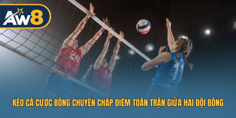 Cược chấp điểm toàn bộ trận đấu bóng chuyền giữa hai đội Cược chấp điểm toàn bộ trận đấu bóng chuyền giữa hai đội