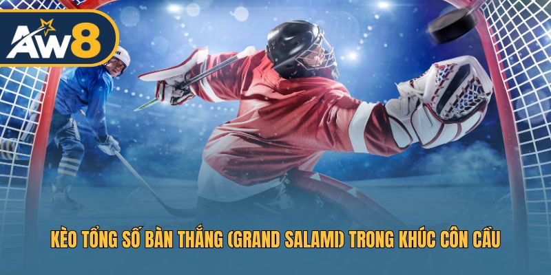 Kèo tổng số bàn thắng (Grand Salami) trong khúc côn cầu Kèo tổng số bàn thắng (Grand Salami) trong khúc côn cầu
