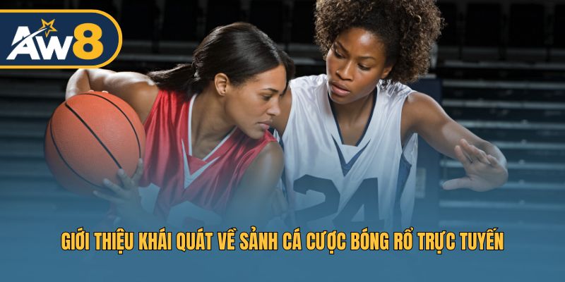 Thông tin nổi bật về sảnh cược bóng rổ AW8