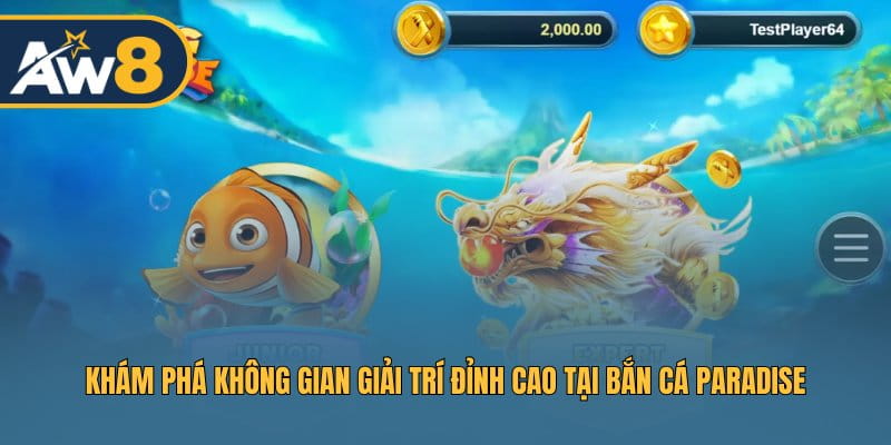 Paradise – Hệ thống chơi sống động, trải nghiệm hấp dẫn mọi ván