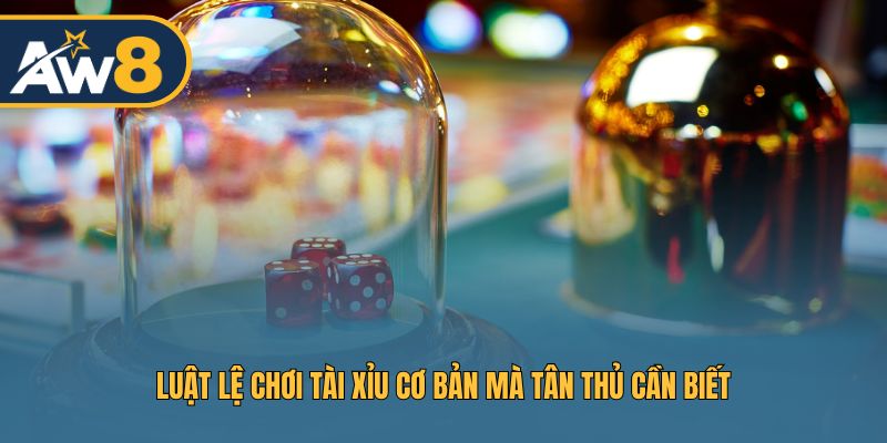 Luật lệ chơi Tài Xỉu cơ bản mà tân thủ cần biết