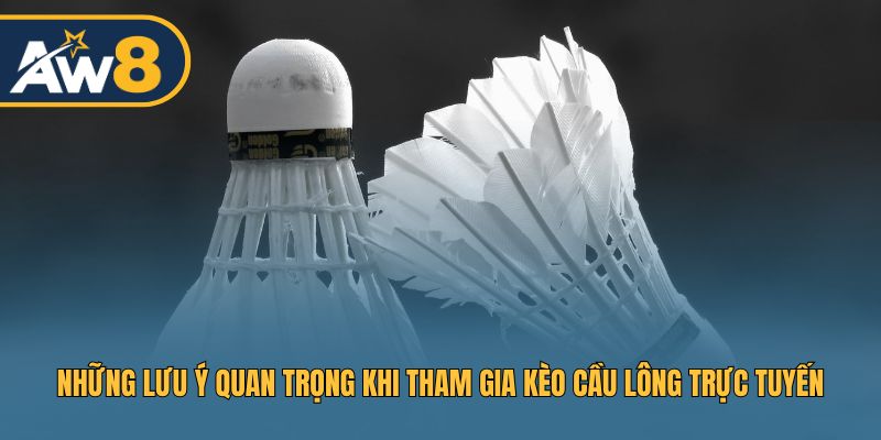 Những điều cần chú ý nhất khi tham gia kèo cầu lông trực tuyến