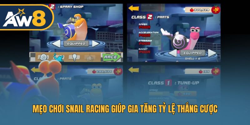 Kinh nghiệm đặt cược Snail Racing từ người chơi lâu năm