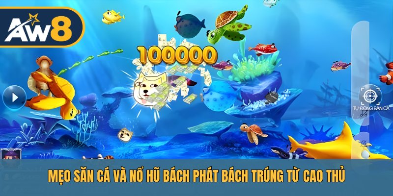 Bí kíp săn cá và mở hũ từ các cao thủ AW8