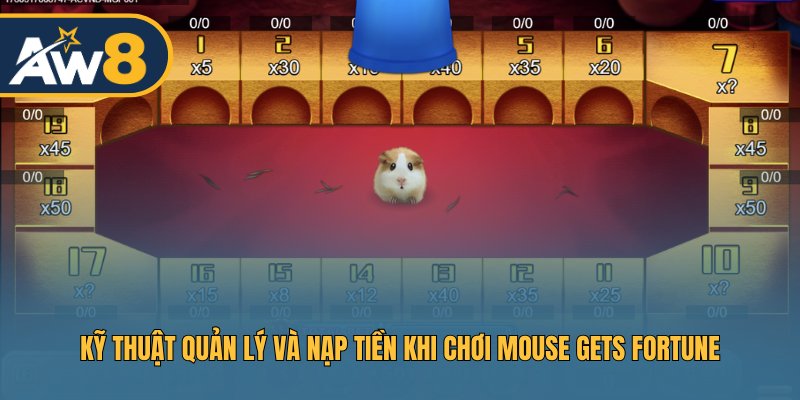 Kinh nghiệm quản lý tài chính khi chơi Mouse Gets Fortune