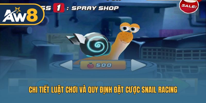 Những quy định quan trọng khi tham gia Snail Racing