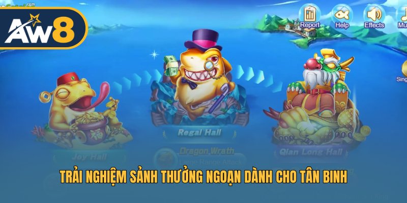 Trải nghiệm sảnh Thưởng Ngoạn dành cho tân binh