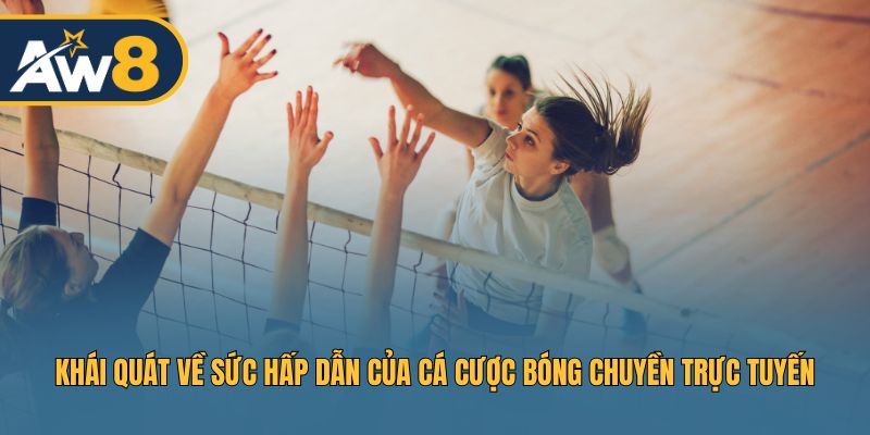 Vì sao cá cược bóng chuyền online lại hấp dẫn đến vậy Vì sao cá cược bóng chuyền online lại hấp dẫn đến vậy