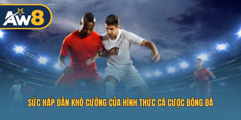 Vì sao cá cược bóng đá luôn thu hút đông đảo người chơi