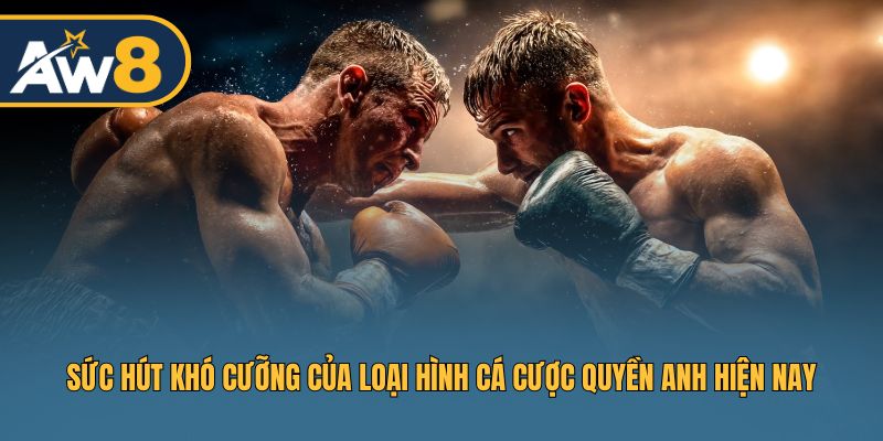 Tổng quan sức hút đặc trưng, kịch tính cao của thị trường cá cược quyền anh ngày nay Tổng quan sức hút đặc trưng, kịch tính cao của thị trường cá cược quyền anh ngày nay
