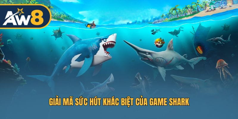 Những yếu tố khiến Shark được yêu thích