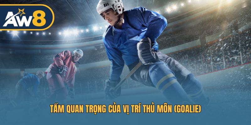 Vai trò then chốt của thủ môn (Goalie) quyết định kết quả trận Vai trò then chốt của thủ môn (Goalie) quyết định kết quả trận
