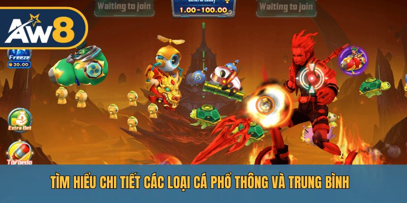Tìm hiểu chi tiết các loại cá phổ thông và trung bình
