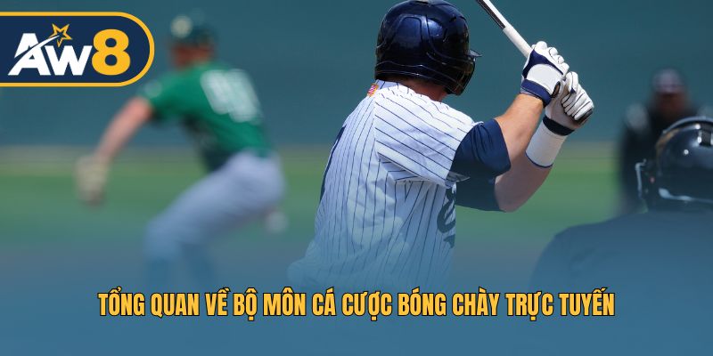 Khái quát về bộ môn cá cược bóng chày online đầy thú vị