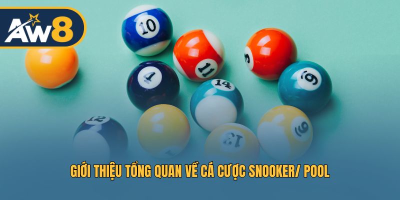 Giới thiệu cá cược Snooker và Pool: Cơ hội thắng lớn, dễ tiếp cận