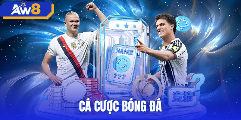 So sánh sảnh thể thao chung và sảnh cá cược bóng đá